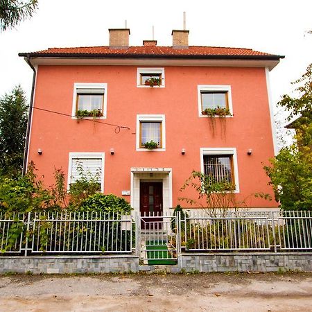 Guest House Pikapolonca Марибор Экстерьер фото